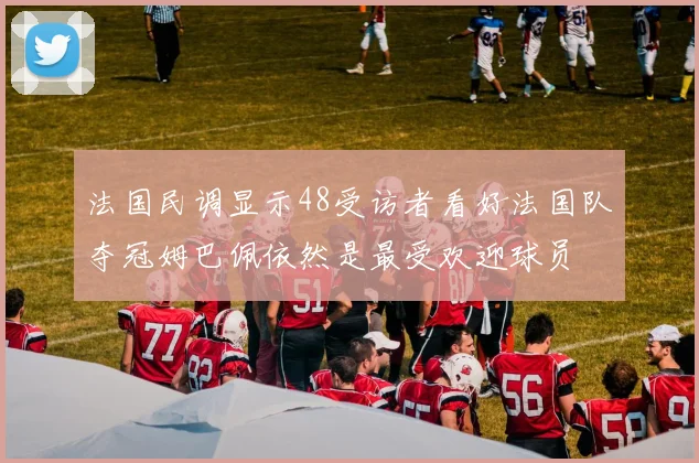 法国民调显示48受访者看好法国队夺冠姆巴佩依然是最受欢迎球员
