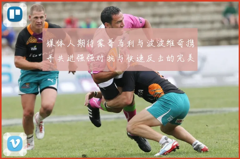 媒体人期待蒙哥马利与波波维奇携手共进强强对抗与快速反击的完美结合